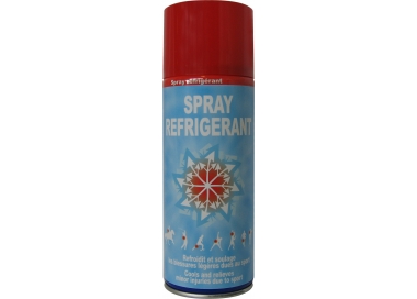 SAPO Anti-Schmerz-Kühlspray 400ml