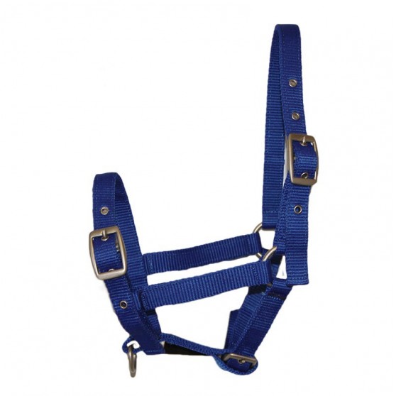 Licol nylon FOAL Impérial riding Bleu roi