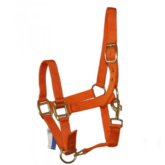 Impérial Riding licol attache facile Orange