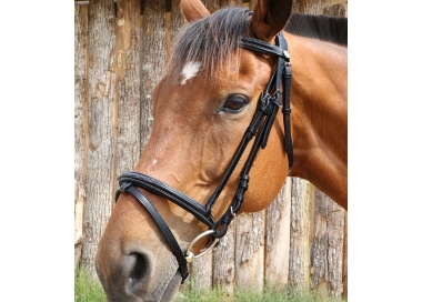 Trense Fancy abgesteppt italienisches Leder DMH Reiten Majestic