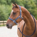 Longe et licol Cooper Horze Supreme taille poney et Cheval de Trait