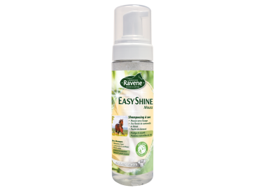 Ravene Trockenshampoo Easy Shine Mouss