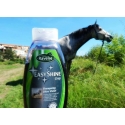 Ravene Shampoo Easy Shine Grey