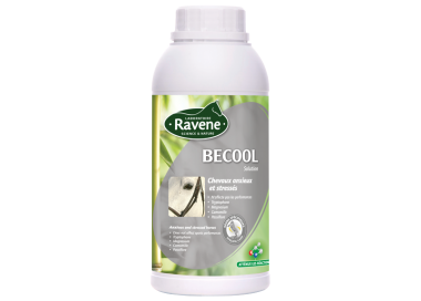 Ravene Becool