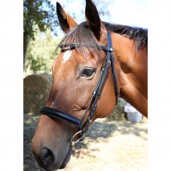 Bridon muserolle française bombée DMH Equitation Noir