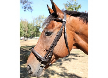 Trense Französisches Reithalfter, bombiert DMH Equitation