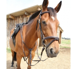 Bridon + collier de chasse surpiqué Dhm-Equitation