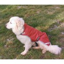 Manteau pour chien imperméable 600D 100GRS DMH