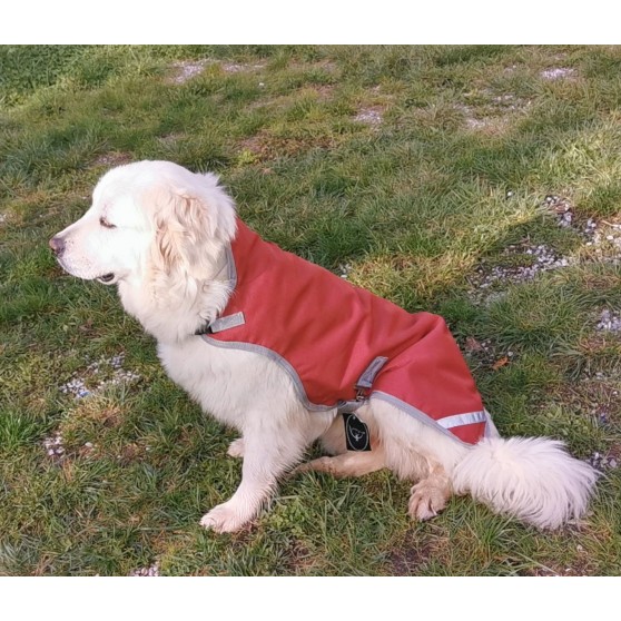 Manteau pour chiens imperméable 600D 100GRS avec trou de laisse DMH