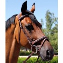 Bridon Poney Rimini Brio Treadstone strass