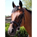 Bridon Poney San Remo Brio Treadstone