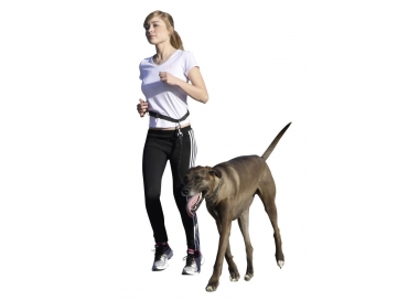 Canicross-Leine zum Laufen mit dem Hund plus Active Belt