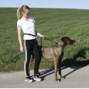 Kit complet Agility pour chien