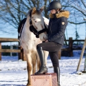 Pantalon d'équitation Verona à galon argent