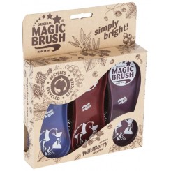 Lot de brosses MagicBrush pansage complet