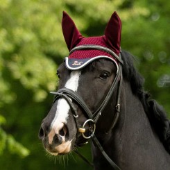 Bonnet Classique Aubenhausen