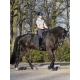 Tapis de selle Square Dressage Carbon Mesh LeMieux