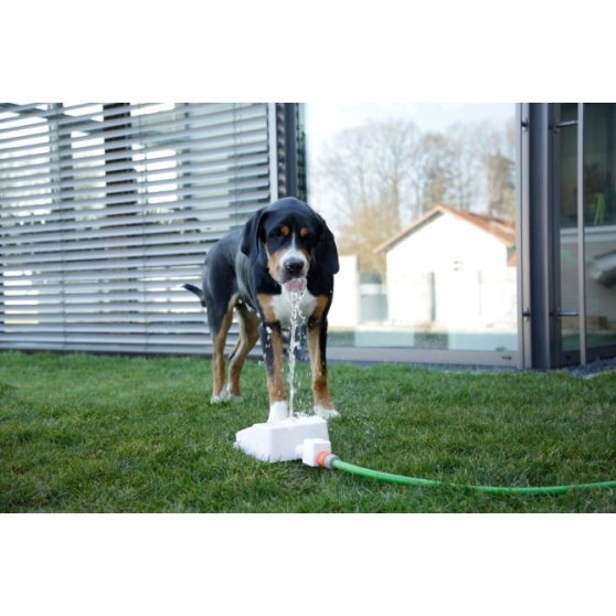 Fontaine rafraichissante pour chien Bubble