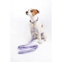 Laisse de dressage pour chiens Qooper en nylon