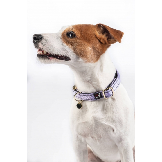 Collier de luxe pour chien Ida nylon HKM