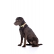 Collier de luxe pour chien Ida nylon HKM