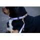 Collier de luxe pour chien Ida nylon HKM