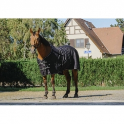 Chemise brillante Riding World