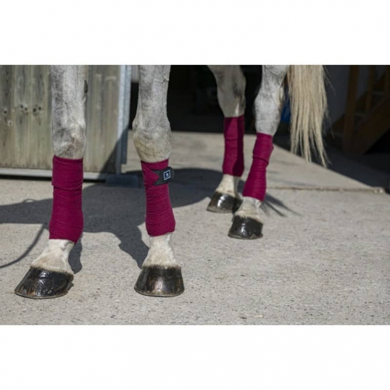 Bandes de polo Riding World Eco