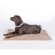 Tapis pour chien Lilly HKM