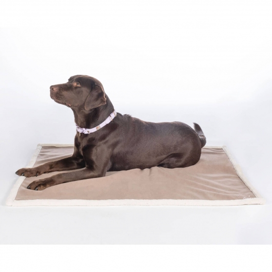 Tapis pour chien Lilly HKM