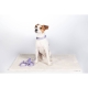 Tapis pour chien Lilly HKM