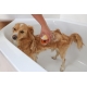 MagicBrush Brosse de bain pour chien