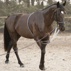 Enrênement de longe Performance FRANCE CHEVAL Marron