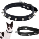 Collier clouté pour chien