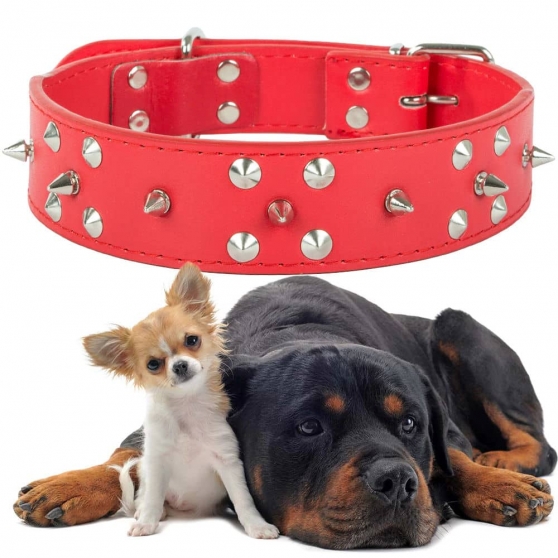 Collier large clouté chien