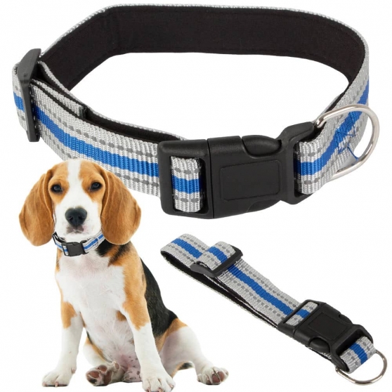 Collier réfléchissant pour chiens