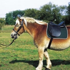 selle-excelsior-pour-cheval-de-trait